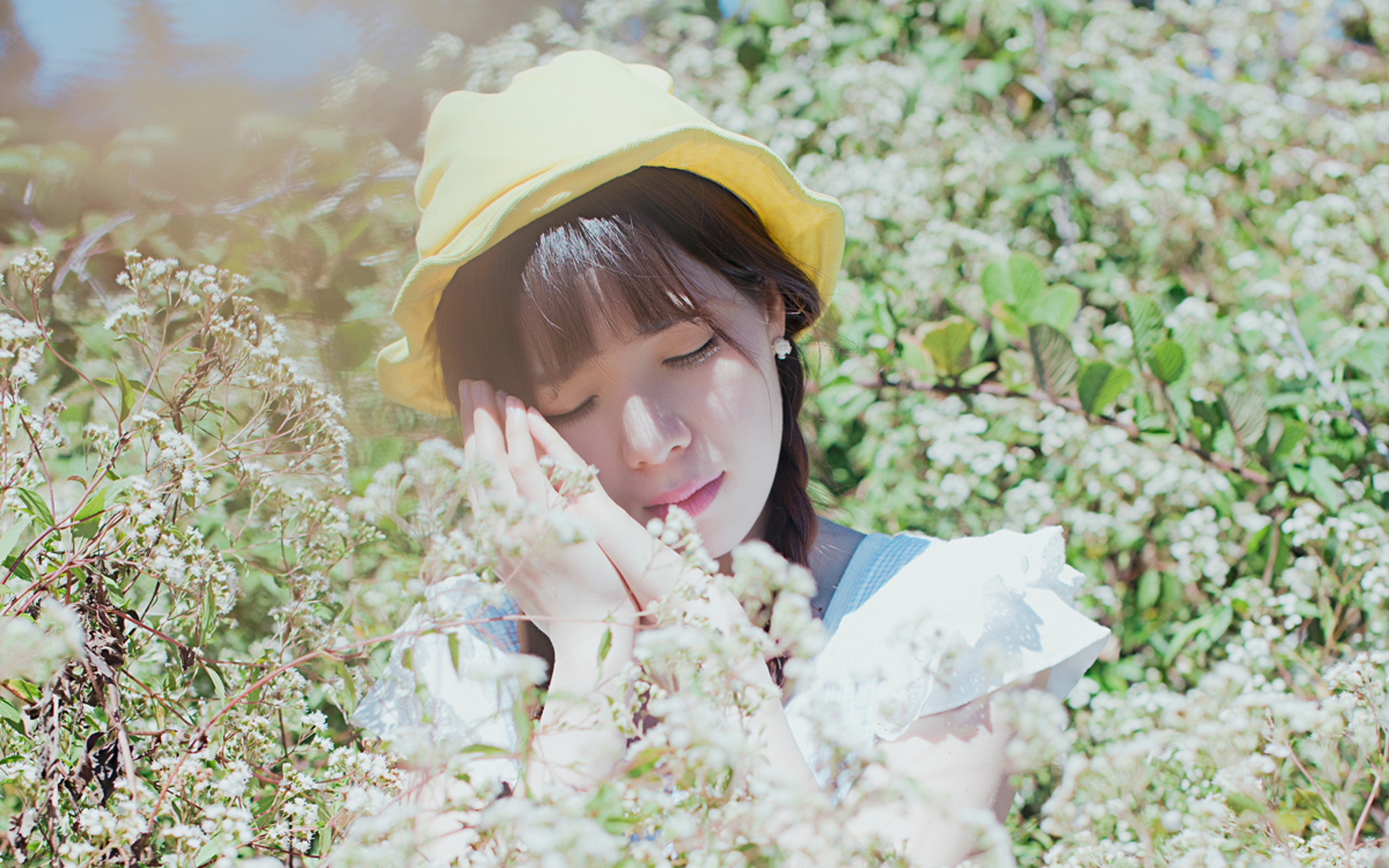 海南网信办积极开展“清朗·互联网用户账号运营乱象专项整治行动”